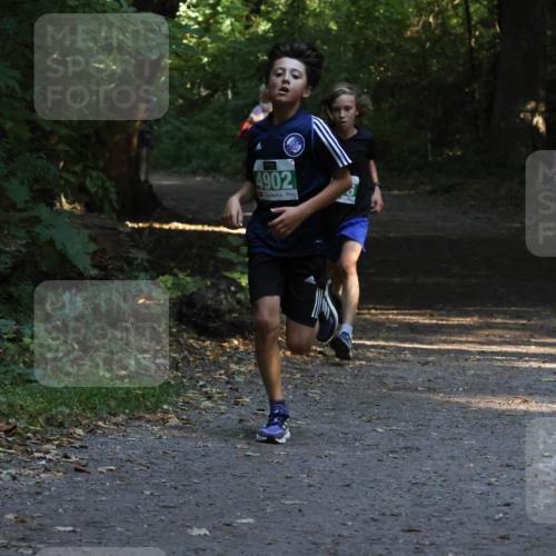 28.09.2025 - 33. Volkslauf durch das schöne Alstertal Strokosch-Dieckow http://msf.ph/oto/8967958 28.09.2025 10:49:30 Laufen 4902 meine-sportfotos.de