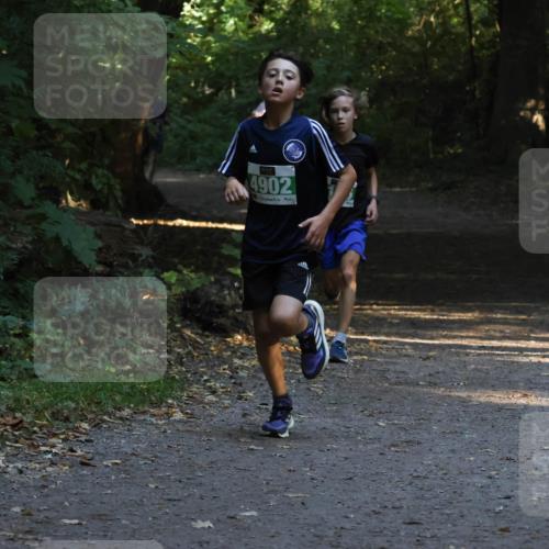 28.09.2025 - 33. Volkslauf durch das schöne Alstertal Strokosch-Dieckow http://msf.ph/oto/8967959 28.09.2025 10:49:30 Laufen 4902 meine-sportfotos.de