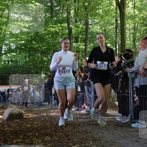28.09.2025 - 33. Volkslauf durch das schöne Alstertal Strokosch-Dieckow http://msf.ph/oto/8967961 28.09.2025 11:46:41 Ziel 2455, 3153, 3162, 3163, 3172 meine-sportfotos.de