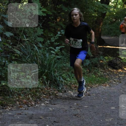 28.09.2025 - 33. Volkslauf durch das schöne Alstertal Strokosch-Dieckow http://msf.ph/oto/8967962 28.09.2025 10:49:31 Laufen 4146 meine-sportfotos.de