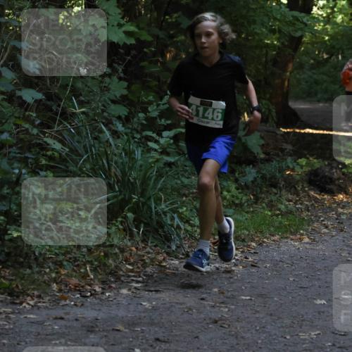 28.09.2025 - 33. Volkslauf durch das schöne Alstertal Strokosch-Dieckow http://msf.ph/oto/8967963 28.09.2025 10:49:31 Laufen 4146 meine-sportfotos.de