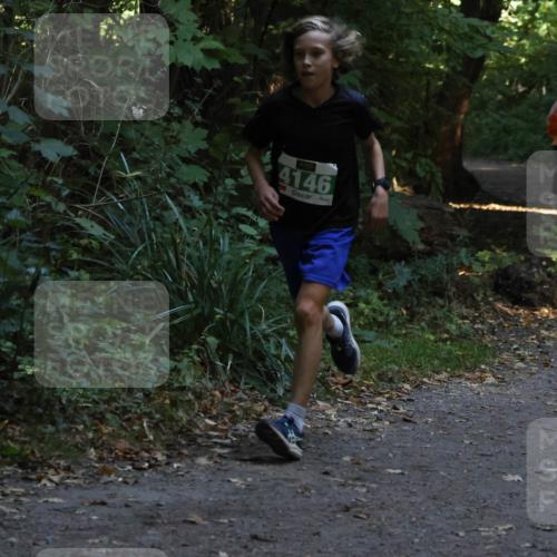 28.09.2025 - 33. Volkslauf durch das schöne Alstertal Strokosch-Dieckow http://msf.ph/oto/8967964 28.09.2025 10:49:32 Laufen 4146 meine-sportfotos.de
