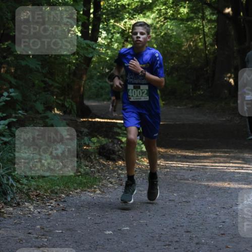 28.09.2025 - 33. Volkslauf durch das schöne Alstertal Strokosch-Dieckow http://msf.ph/oto/8967965 28.09.2025 10:49:40 Laufen 4002 meine-sportfotos.de