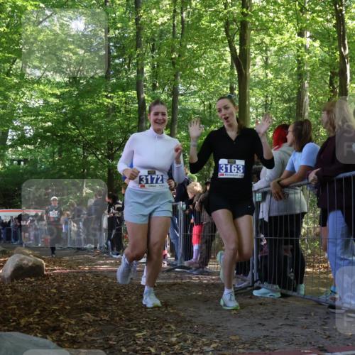 28.09.2025 - 33. Volkslauf durch das schöne Alstertal Strokosch-Dieckow http://msf.ph/oto/8967966 28.09.2025 11:46:41 Ziel 2455, 3153, 3162, 3163, 3172 meine-sportfotos.de