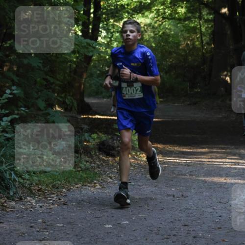 28.09.2025 - 33. Volkslauf durch das schöne Alstertal Strokosch-Dieckow http://msf.ph/oto/8967967 28.09.2025 10:49:40 Laufen 4002 meine-sportfotos.de