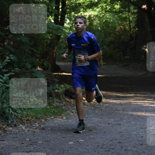 28.09.2025 - 33. Volkslauf durch das schöne Alstertal Strokosch-Dieckow http://msf.ph/oto/8967968 28.09.2025 10:49:40 Laufen  meine-sportfotos.de