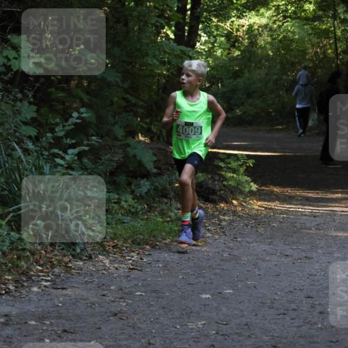 28.09.2025 - 33. Volkslauf durch das schöne Alstertal Strokosch-Dieckow http://msf.ph/oto/8967975 28.09.2025 10:50:01 Laufen 4009 meine-sportfotos.de