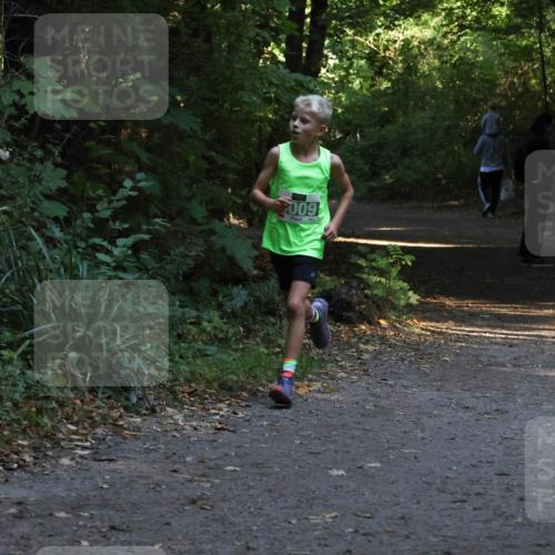 28.09.2025 - 33. Volkslauf durch das schöne Alstertal Strokosch-Dieckow http://msf.ph/oto/8967976 28.09.2025 10:50:01 Laufen 009 meine-sportfotos.de