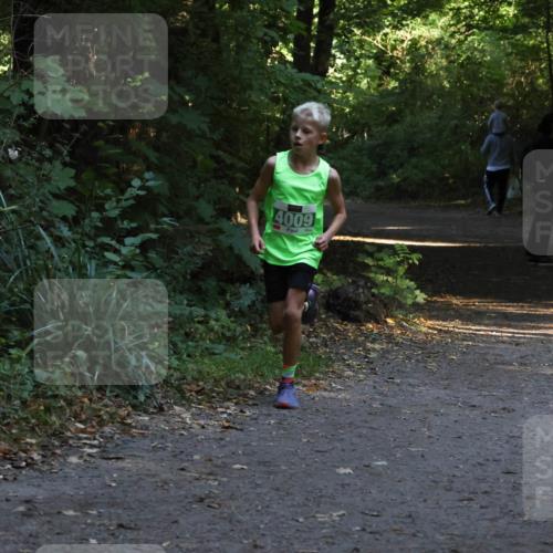 28.09.2025 - 33. Volkslauf durch das schöne Alstertal Strokosch-Dieckow http://msf.ph/oto/8967977 28.09.2025 10:50:02 Laufen 4009 meine-sportfotos.de
