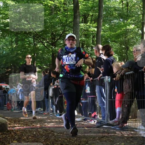 28.09.2025 - 33. Volkslauf durch das schöne Alstertal Strokosch-Dieckow http://msf.ph/oto/8967978 28.09.2025 11:46:44 Ziel 1802, 2455, 3153, 3901 meine-sportfotos.de