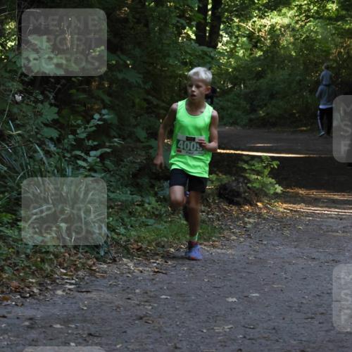 28.09.2025 - 33. Volkslauf durch das schöne Alstertal Strokosch-Dieckow http://msf.ph/oto/8967979 28.09.2025 10:50:02 Laufen 400 meine-sportfotos.de