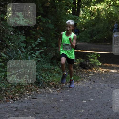 28.09.2025 - 33. Volkslauf durch das schöne Alstertal Strokosch-Dieckow http://msf.ph/oto/8967980 28.09.2025 10:50:02 Laufen 4009 meine-sportfotos.de