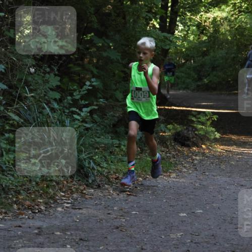 28.09.2025 - 33. Volkslauf durch das schöne Alstertal Strokosch-Dieckow http://msf.ph/oto/8967981 28.09.2025 10:50:02 Laufen 4009 meine-sportfotos.de