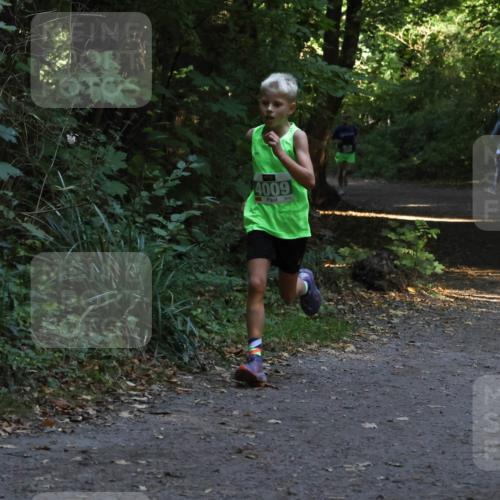 28.09.2025 - 33. Volkslauf durch das schöne Alstertal Strokosch-Dieckow http://msf.ph/oto/8967982 28.09.2025 10:50:02 Laufen 4009 meine-sportfotos.de