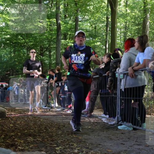 28.09.2025 - 33. Volkslauf durch das schöne Alstertal Strokosch-Dieckow http://msf.ph/oto/8967983 28.09.2025 11:46:45 Ziel 1802, 2455, 3153, 3901 meine-sportfotos.de