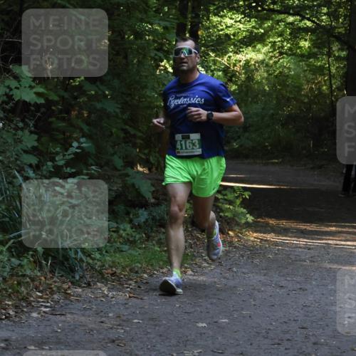 28.09.2025 - 33. Volkslauf durch das schöne Alstertal Strokosch-Dieckow http://msf.ph/oto/8967984 28.09.2025 10:50:11 Laufen 4163 meine-sportfotos.de