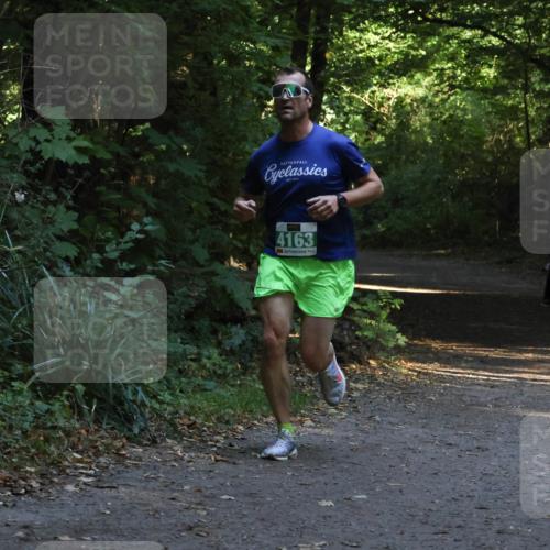 28.09.2025 - 33. Volkslauf durch das schöne Alstertal Strokosch-Dieckow http://msf.ph/oto/8967985 28.09.2025 10:50:11 Laufen 4163 meine-sportfotos.de