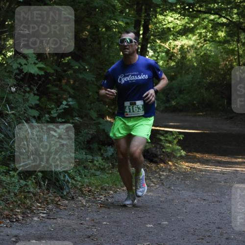 28.09.2025 - 33. Volkslauf durch das schöne Alstertal Strokosch-Dieckow http://msf.ph/oto/8967986 28.09.2025 10:50:11 Laufen 4163 meine-sportfotos.de