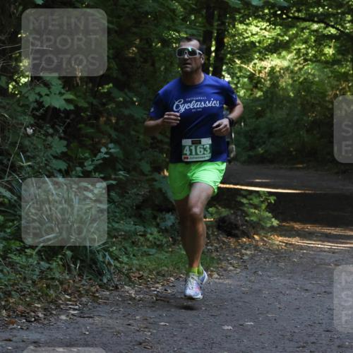 28.09.2025 - 33. Volkslauf durch das schöne Alstertal Strokosch-Dieckow http://msf.ph/oto/8967988 28.09.2025 10:50:11 Laufen 4163 meine-sportfotos.de