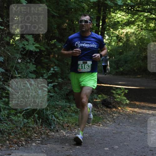 28.09.2025 - 33. Volkslauf durch das schöne Alstertal Strokosch-Dieckow http://msf.ph/oto/8967990 28.09.2025 10:50:12 Laufen 4163 meine-sportfotos.de
