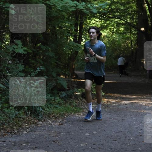 28.09.2025 - 33. Volkslauf durch das schöne Alstertal Strokosch-Dieckow http://msf.ph/oto/8967997 28.09.2025 10:50:29 Laufen 1057 meine-sportfotos.de