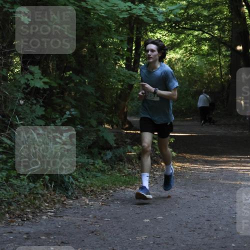 28.09.2025 - 33. Volkslauf durch das schöne Alstertal Strokosch-Dieckow http://msf.ph/oto/8967998 28.09.2025 10:50:29 Laufen 4057 meine-sportfotos.de