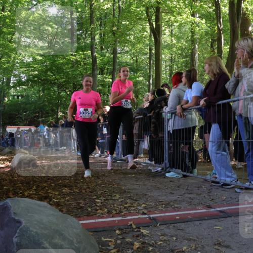 28.09.2025 - 33. Volkslauf durch das schöne Alstertal Strokosch-Dieckow http://msf.ph/oto/8967999 28.09.2025 11:46:56 Ziel 3158, 3325, 3326 meine-sportfotos.de