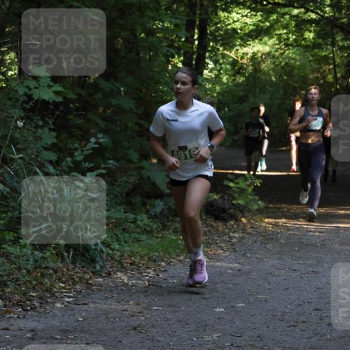 28.09.2025 - 33. Volkslauf durch das schöne Alstertal Strokosch-Dieckow http://msf.ph/oto/8968000 28.09.2025 10:51:02 Laufen 4910, 906 meine-sportfotos.de