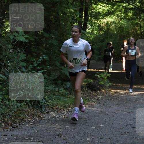 28.09.2025 - 33. Volkslauf durch das schöne Alstertal Strokosch-Dieckow http://msf.ph/oto/8968001 28.09.2025 10:51:03 Laufen 4910, 906 meine-sportfotos.de