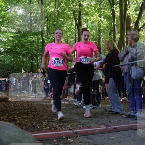 28.09.2025 - 33. Volkslauf durch das schöne Alstertal Strokosch-Dieckow http://msf.ph/oto/8968002 28.09.2025 11:46:56 Ziel 3158, 3325, 3326 meine-sportfotos.de