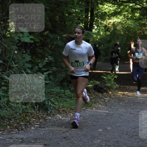 28.09.2025 - 33. Volkslauf durch das schöne Alstertal Strokosch-Dieckow http://msf.ph/oto/8968003 28.09.2025 10:51:03 Laufen 4910, 4906 meine-sportfotos.de