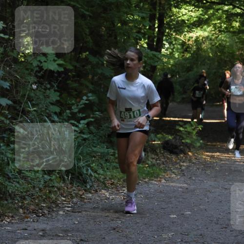 28.09.2025 - 33. Volkslauf durch das schöne Alstertal Strokosch-Dieckow http://msf.ph/oto/8968004 28.09.2025 10:51:03 Laufen 4910, 4969 meine-sportfotos.de