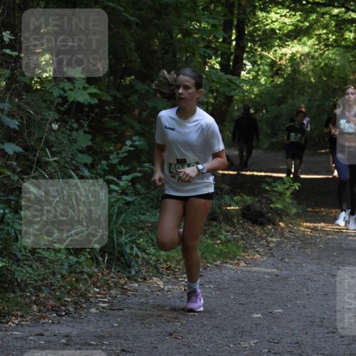 28.09.2025 - 33. Volkslauf durch das schöne Alstertal Strokosch-Dieckow http://msf.ph/oto/8968005 28.09.2025 10:51:03 Laufen 4906 meine-sportfotos.de