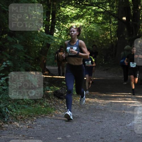 28.09.2025 - 33. Volkslauf durch das schöne Alstertal Strokosch-Dieckow http://msf.ph/oto/8968007 28.09.2025 10:51:04 Laufen 4918 meine-sportfotos.de