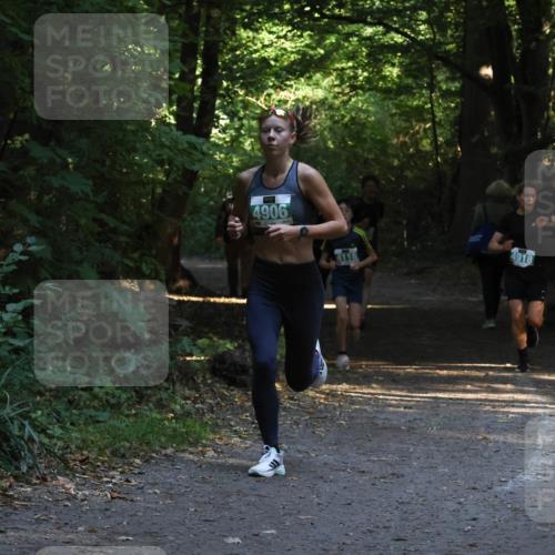 28.09.2025 - 33. Volkslauf durch das schöne Alstertal Strokosch-Dieckow http://msf.ph/oto/8968008 28.09.2025 10:51:04 Laufen 4906, 4118, 4918 meine-sportfotos.de