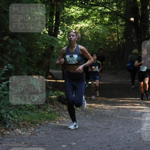 28.09.2025 - 33. Volkslauf durch das schöne Alstertal Strokosch-Dieckow http://msf.ph/oto/8968010 28.09.2025 10:51:04 Laufen 4906, 4918 meine-sportfotos.de
