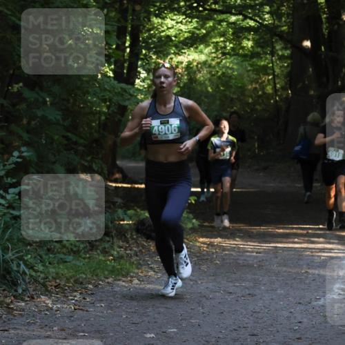 28.09.2025 - 33. Volkslauf durch das schöne Alstertal Strokosch-Dieckow http://msf.ph/oto/8968011 28.09.2025 10:51:04 Laufen 4906, 4918 meine-sportfotos.de