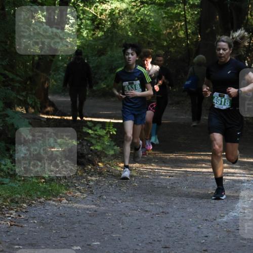 28.09.2025 - 33. Volkslauf durch das schöne Alstertal Strokosch-Dieckow http://msf.ph/oto/8968012 28.09.2025 10:51:06 Laufen 4118, 4918 meine-sportfotos.de