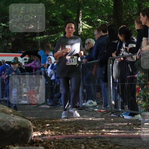 28.09.2025 - 33. Volkslauf durch das schöne Alstertal Strokosch-Dieckow http://msf.ph/oto/8968013 28.09.2025 11:47:01 Ziel 3158 meine-sportfotos.de
