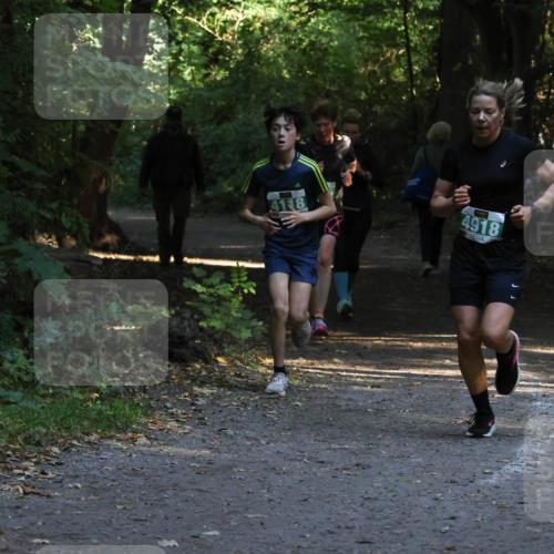 28.09.2025 - 33. Volkslauf durch das schöne Alstertal Strokosch-Dieckow http://msf.ph/oto/8968014 28.09.2025 10:51:06 Laufen 41, 8, 4918 meine-sportfotos.de