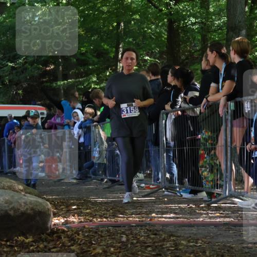 28.09.2025 - 33. Volkslauf durch das schöne Alstertal Strokosch-Dieckow http://msf.ph/oto/8968017 28.09.2025 11:47:02 Ziel 3158 meine-sportfotos.de