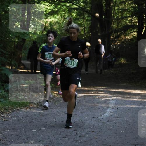 28.09.2025 - 33. Volkslauf durch das schöne Alstertal Strokosch-Dieckow http://msf.ph/oto/8968018 28.09.2025 10:51:07 Laufen 4918 meine-sportfotos.de