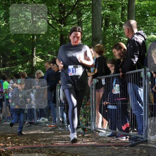 28.09.2025 - 33. Volkslauf durch das schöne Alstertal Strokosch-Dieckow http://msf.ph/oto/8968021 28.09.2025 11:47:03 Ziel 3158 meine-sportfotos.de
