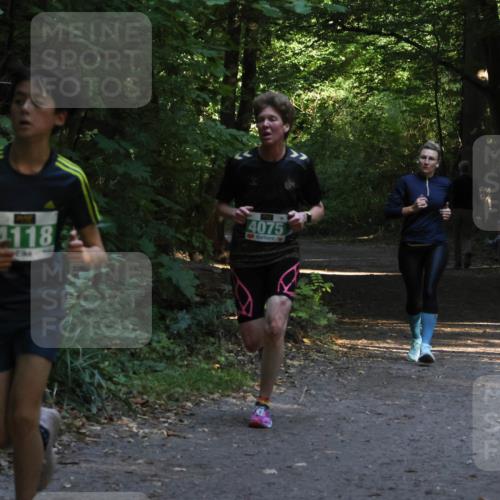 28.09.2025 - 33. Volkslauf durch das schöne Alstertal Strokosch-Dieckow http://msf.ph/oto/8968022 28.09.2025 10:51:10 Laufen 4118, 4075 meine-sportfotos.de