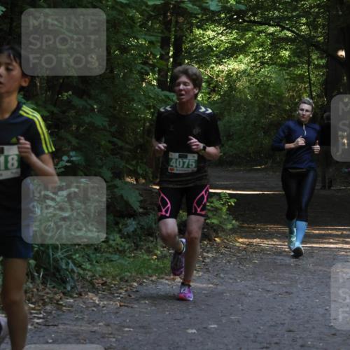 28.09.2025 - 33. Volkslauf durch das schöne Alstertal Strokosch-Dieckow http://msf.ph/oto/8968023 28.09.2025 10:51:10 Laufen 4118, 4075 meine-sportfotos.de