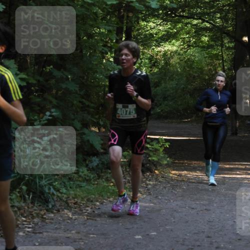 28.09.2025 - 33. Volkslauf durch das schöne Alstertal Strokosch-Dieckow http://msf.ph/oto/8968024 28.09.2025 10:51:10 Laufen 4118, 4075 meine-sportfotos.de