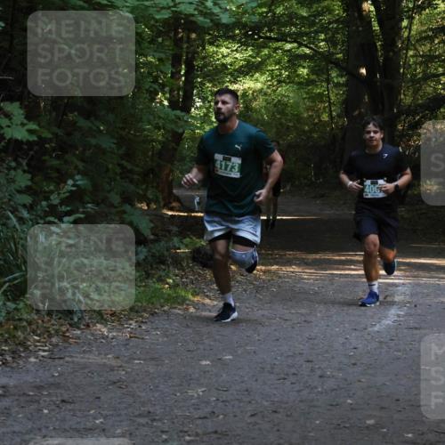 28.09.2025 - 33. Volkslauf durch das schöne Alstertal Strokosch-Dieckow http://msf.ph/oto/8968026 28.09.2025 10:51:34 Laufen 4173, 40 meine-sportfotos.de