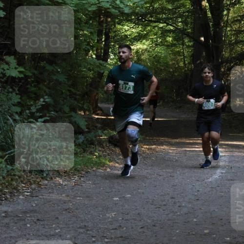28.09.2025 - 33. Volkslauf durch das schöne Alstertal Strokosch-Dieckow http://msf.ph/oto/8968027 28.09.2025 10:51:35 Laufen 4173, 4007 meine-sportfotos.de
