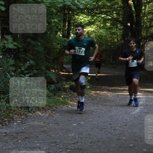 28.09.2025 - 33. Volkslauf durch das schöne Alstertal Strokosch-Dieckow http://msf.ph/oto/8968029 28.09.2025 10:51:35 Laufen 4173, 4007 meine-sportfotos.de
