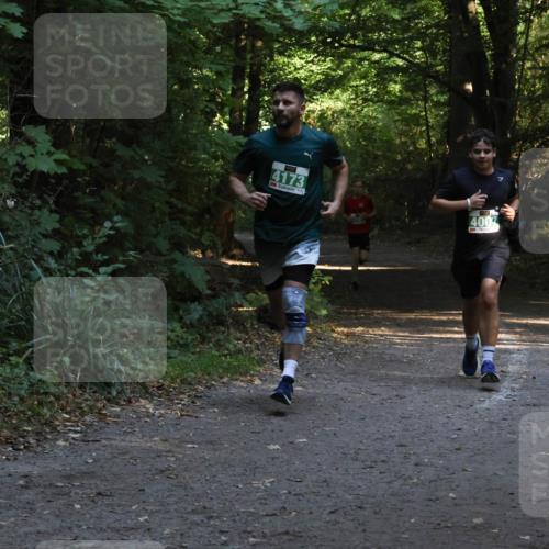 28.09.2025 - 33. Volkslauf durch das schöne Alstertal Strokosch-Dieckow http://msf.ph/oto/8968030 28.09.2025 10:51:35 Laufen 4173, 4007 meine-sportfotos.de